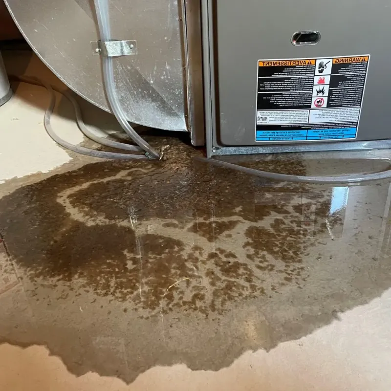 Pipe Burst and Leak Restoration in Berwyn Heights, MD